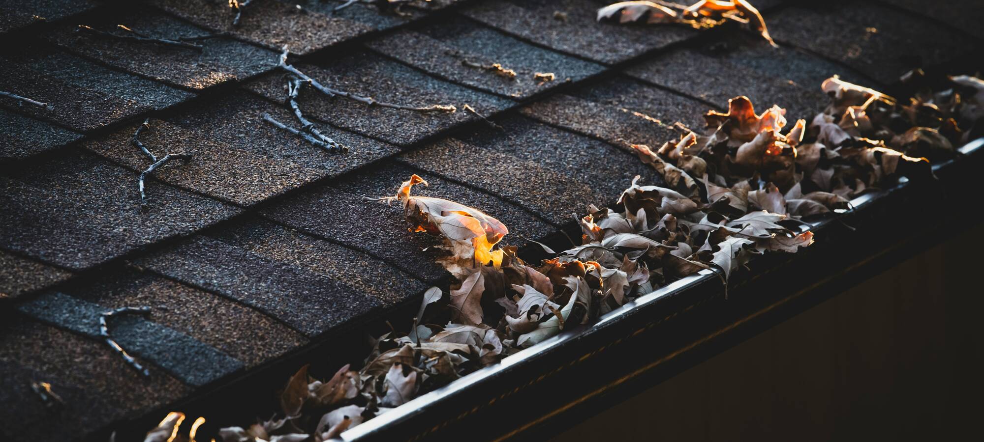 Hpbanner1jon Sailer Fywprfaqcmo Unsplash